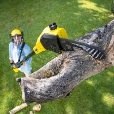 Best Lawn Mowing  in Peach Lake, NY